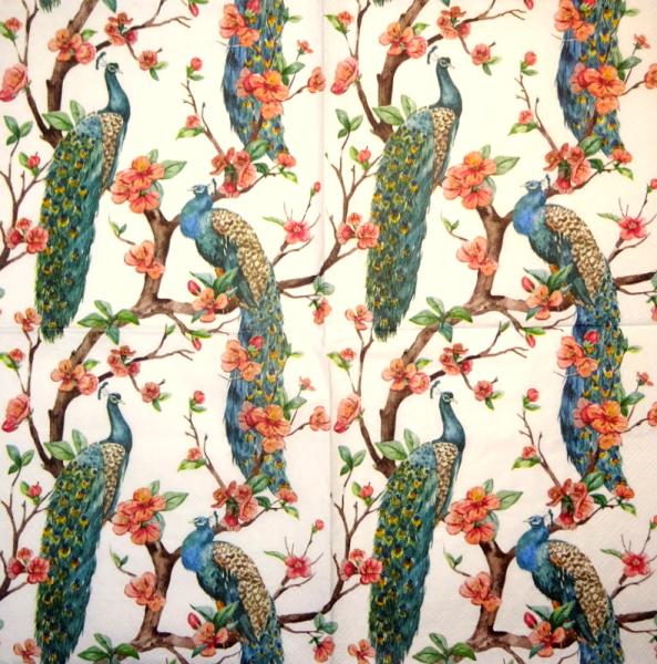 001 Pfau - 3-lagig - Adriana Cirstea